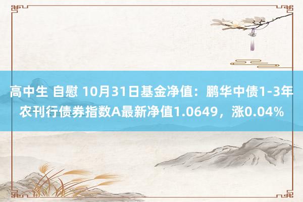 高中生 自慰 10月31日基金净值：鹏华中债1-3年农刊行债券指数A最新净值1.0649，涨0.04%