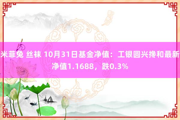 米菲兔 丝袜 10月31日基金净值：工银圆兴搀和最新净值1.1688，跌0.3%