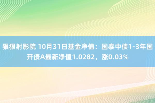 狠狠射影院 10月31日基金净值：国泰中债1-3年国开债A最新净值1.0282，涨0.03%