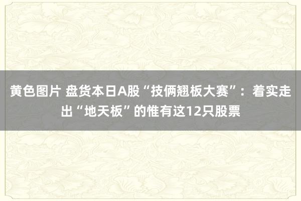 黄色图片 盘货本日A股“技俩翘板大赛”：着实走出“地天板”的惟有这12只股票