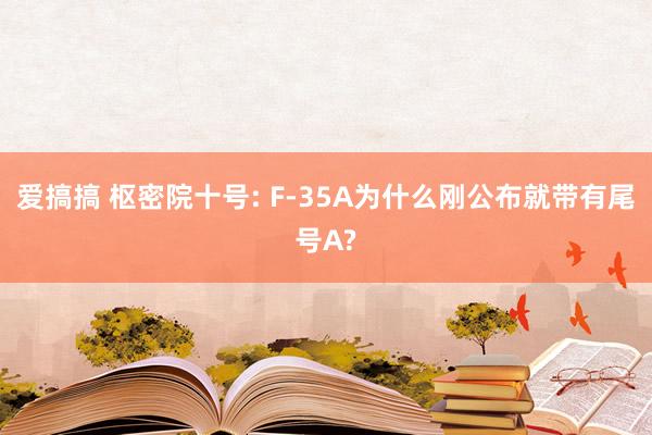 爱搞搞 枢密院十号: F-35A为什么刚公布就带有尾号A?