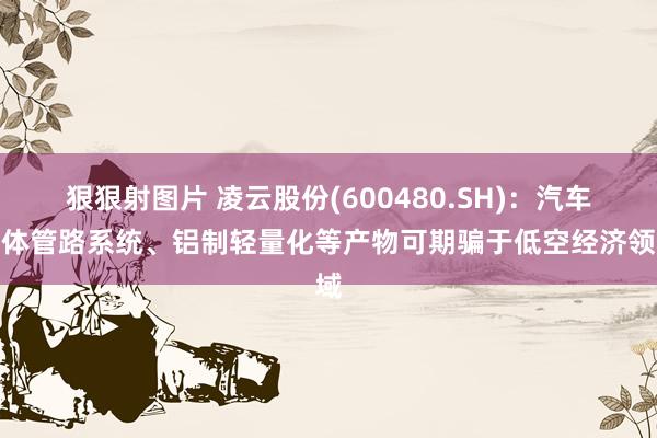 狠狠射图片 凌云股份(600480.SH)：汽车流体管路系统、铝制轻量化等产物可期骗于低空经济领域