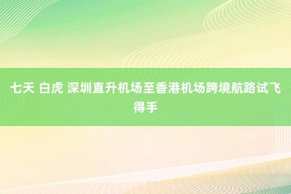 七天 白虎 深圳直升机场至香港机场跨境航路试飞得手