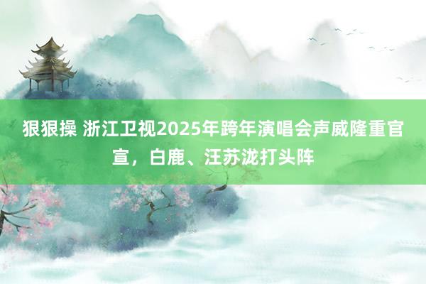 狠狠操 浙江卫视2025年跨年演唱会声威隆重官宣，白鹿、汪苏泷打头阵