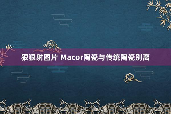 狠狠射图片 Macor陶瓷与传统陶瓷别离