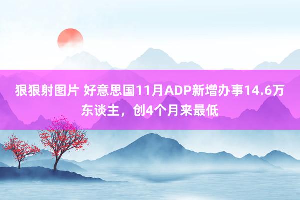 狠狠射图片 好意思国11月ADP新增办事14.6万东谈主，创4个月来最低