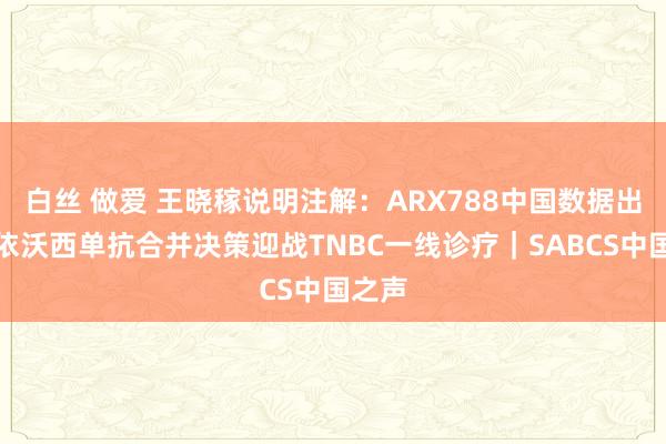 白丝 做爱 王晓稼说明注解：ARX788中国数据出炉！依沃西单抗合并决策迎战TNBC一线诊疗｜SABCS中国之声