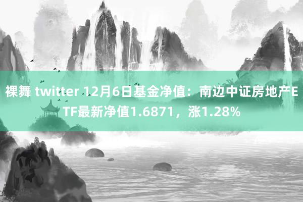 裸舞 twitter 12月6日基金净值：南边中证房地产ETF最新净值1.6871，涨1.28%