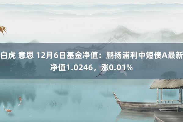 白虎 意思 12月6日基金净值：鹏扬浦利中短债A最新净值1.0246，涨0.01%