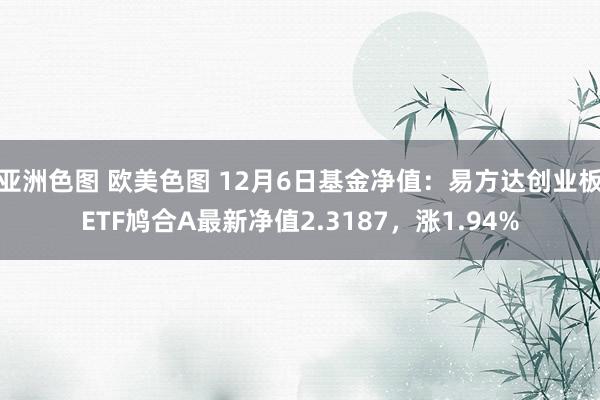 亚洲色图 欧美色图 12月6日基金净值：易方达创业板ETF鸠合A最新净值2.3187，涨1.94%