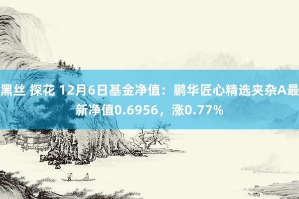 黑丝 探花 12月6日基金净值：鹏华匠心精选夹杂A最新净值0.6956，涨0.77%