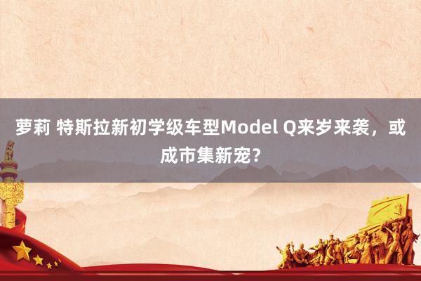 萝莉 特斯拉新初学级车型Model Q来岁来袭，或成市集新宠？