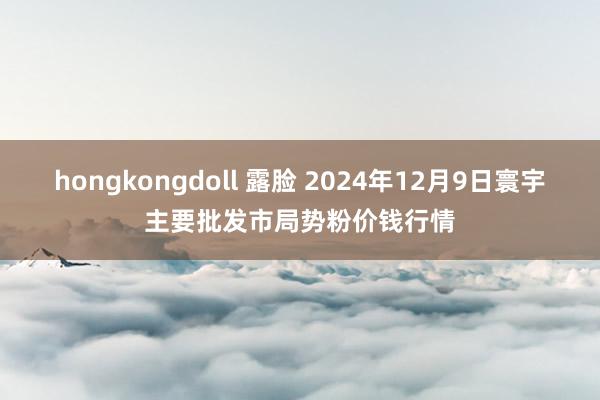 hongkongdoll 露脸 2024年12月9日寰宇主要批发市局势粉价钱行情