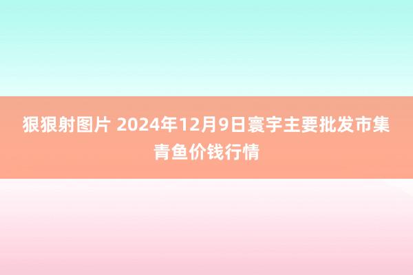 狠狠射图片 2024年12月9日寰宇主要批发市集青鱼价钱行情