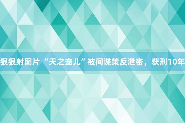 狠狠射图片 “天之宠儿”被间谍策反泄密，获刑10年