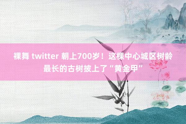 裸舞 twitter 朝上700岁！这棵中心城区树龄最长的古树披上了“黄金甲”