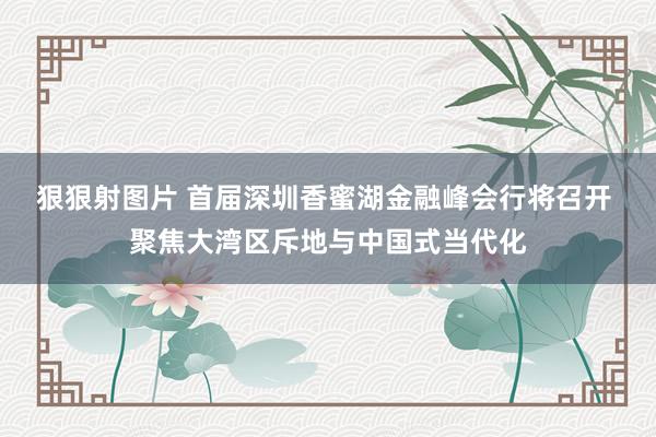 狠狠射图片 首届深圳香蜜湖金融峰会行将召开 聚焦大湾区斥地与中国式当代化