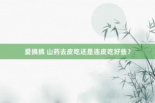 爱搞搞 山药去皮吃还是连皮吃好些？