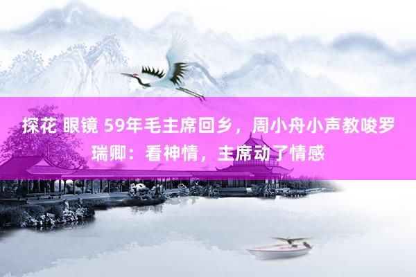 探花 眼镜 59年毛主席回乡，周小舟小声教唆罗瑞卿：看神情，主席动了情感