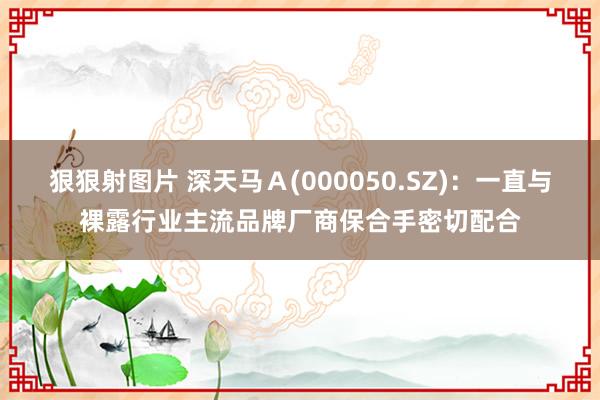 狠狠射图片 深天马Ａ(000050.SZ)：一直与裸露行业主流品牌厂商保合手密切配合