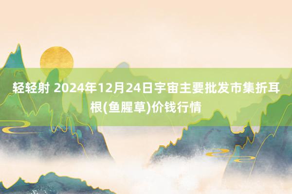 轻轻射 2024年12月24日宇宙主要批发市集折耳根(鱼腥草)价钱行情