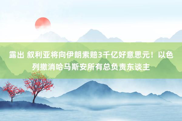 露出 叙利亚将向伊朗索赔3千亿好意思元！以色列撤消哈马斯安所有总负责东谈主