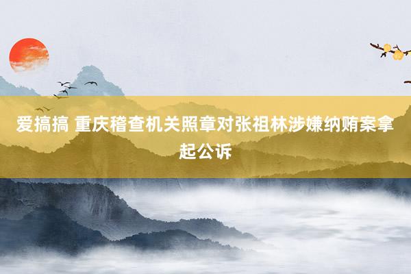 爱搞搞 重庆稽查机关照章对张祖林涉嫌纳贿案拿起公诉