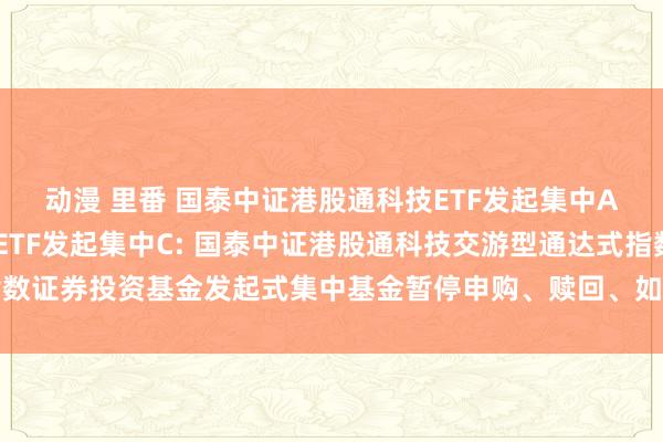 动漫 里番 国泰中证港股通科技ETF发起集中A，国泰中证港股通科技ETF发起集中C: 国泰中证港股通科技交游型通达式指数证券投资基金发起式集中基金暂停申购、赎回、如期定额投资及诊治业务的公告