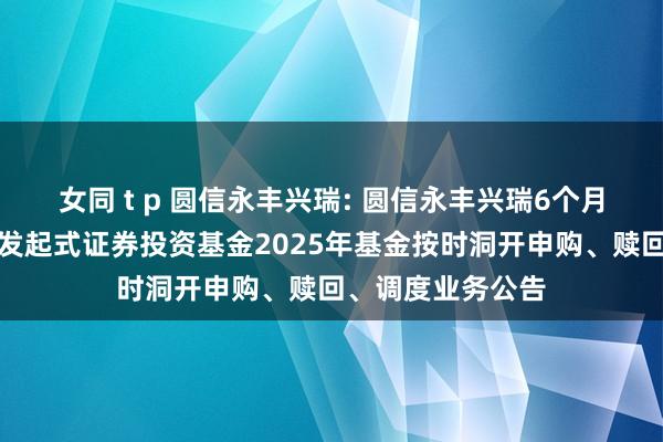 女同 t p 圆信永丰兴瑞: 圆信永丰兴瑞6个月按时洞开债券型发起式证券投资基金2025年基金按时洞开申购、赎回、调度业务公告