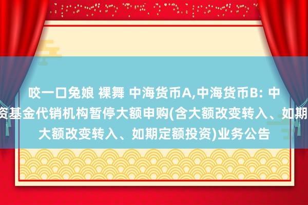 咬一口兔娘 裸舞 中海货币A，中海货币B: 中海货币阛阓证券投资基金代销机构暂停大额申购(含大额改变转入、如期定额投资)业务公告