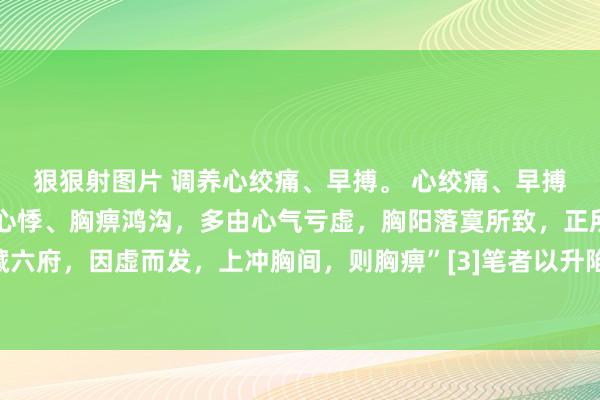 狠狠射图片 调养心绞痛、早搏。 心绞痛、早搏临床一般可归为中医学心悸、胸痹鸿沟，多由心气亏虚，胸阳落寞所致，正所谓“冷气客于五藏六府，因虚而发，上冲胸间，则胸痹”[3]笔者以升陷汤和生脉饮加减调养本症常能获得较好疗效