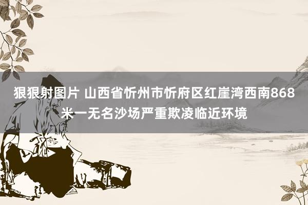 狠狠射图片 山西省忻州市忻府区红崖湾西南868米一无名沙场严重欺凌临近环境