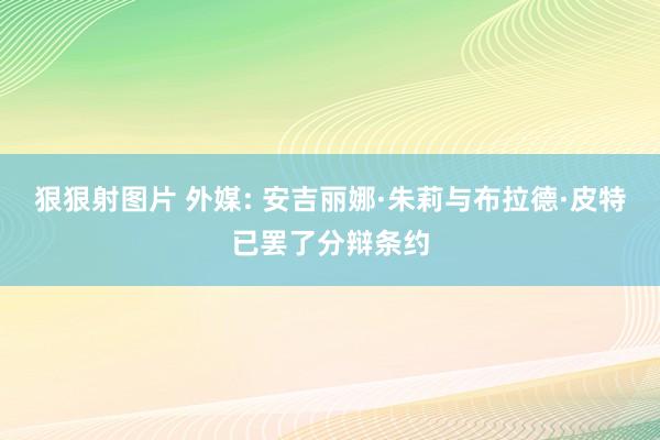 狠狠射图片 外媒: 安吉丽娜·朱莉与布拉德·皮特已罢了分辩条约