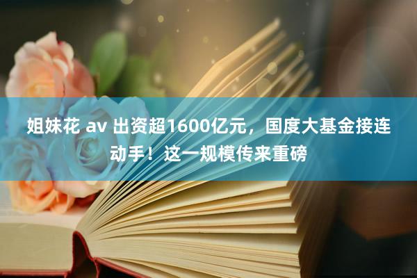 姐妹花 av 出资超1600亿元，国度大基金接连动手！这一规模传来重磅