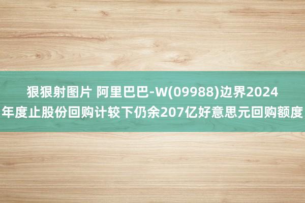 狠狠射图片 阿里巴巴-W(09988)边界2024年度止股份回购计较下仍余207亿好意思元回购额度