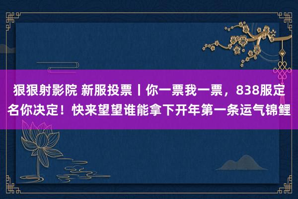 狠狠射影院 新服投票丨你一票我一票，838服定名你决定！快来望望谁能拿下开年第一条运气锦鲤