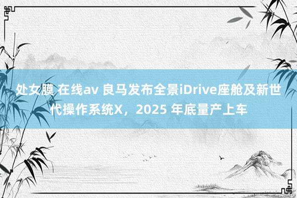 处女膜 在线av 良马发布全景iDrive座舱及新世代操作系统X，2025 年底量产上车