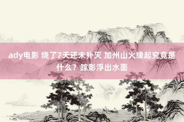 ady电影 烧了7天还未扑灭 加州山火缘起究竟是什么？踪影浮出水面