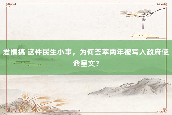 爱搞搞 这件民生小事，为何荟萃两年被写入政府使命呈文？